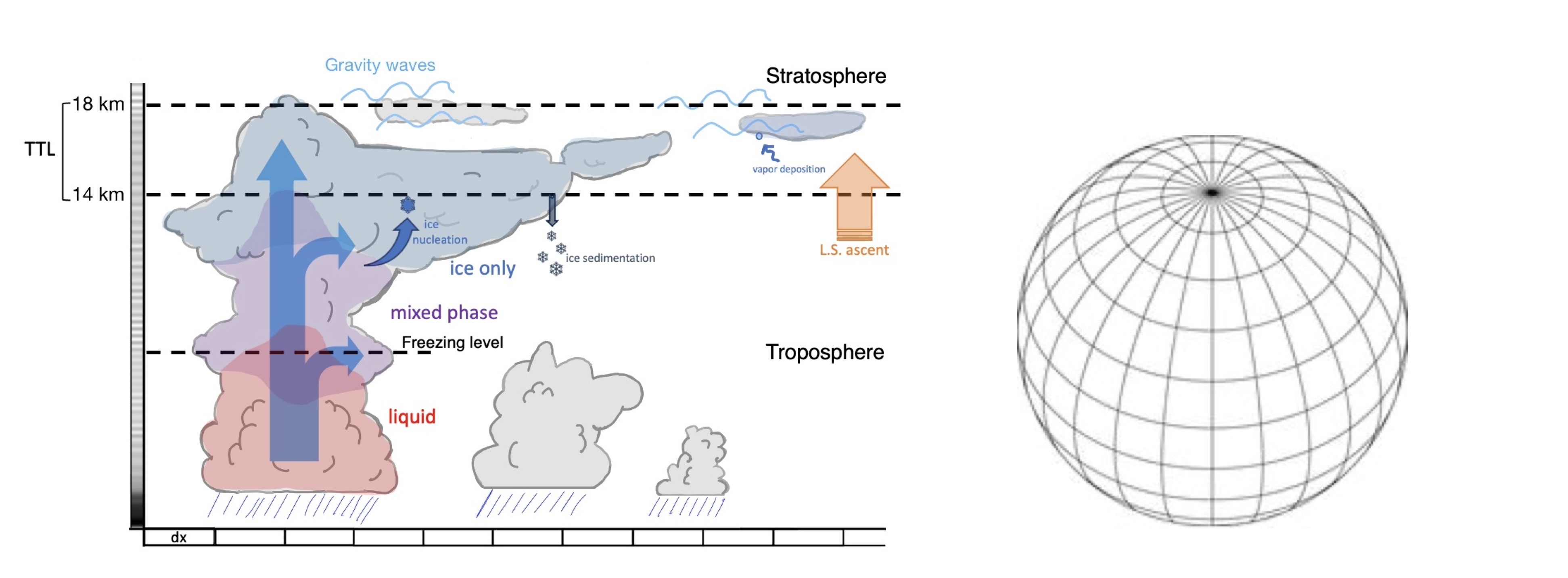 (Left) Schematic of tropical convective structure to cirrus outflow with the presence of gravitiy waves and large scale ascent. (Right) Schematic of a model lat-lon grid on a globe. 